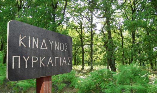 kindynos pyrkagias 5
