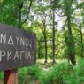 kindynos pyrkagias 5