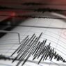 seismoi
