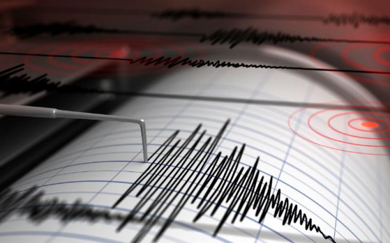 seismoi