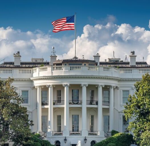 white house 768x512 1 1