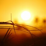 xavier coiffic dv9mjpsY Y unsplash scaled