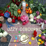 000 67hw6hq scaled 1