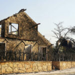 000 67p22cq scaled 1