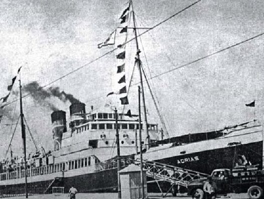 29216610