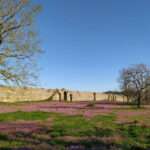 514445750 1281967700602155 2637115923074545617 n