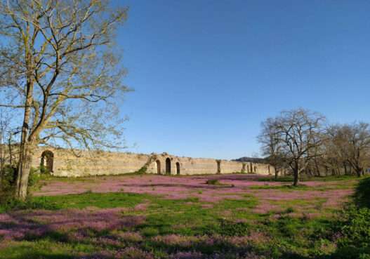 514445750 1281967700602155 2637115923074545617 n