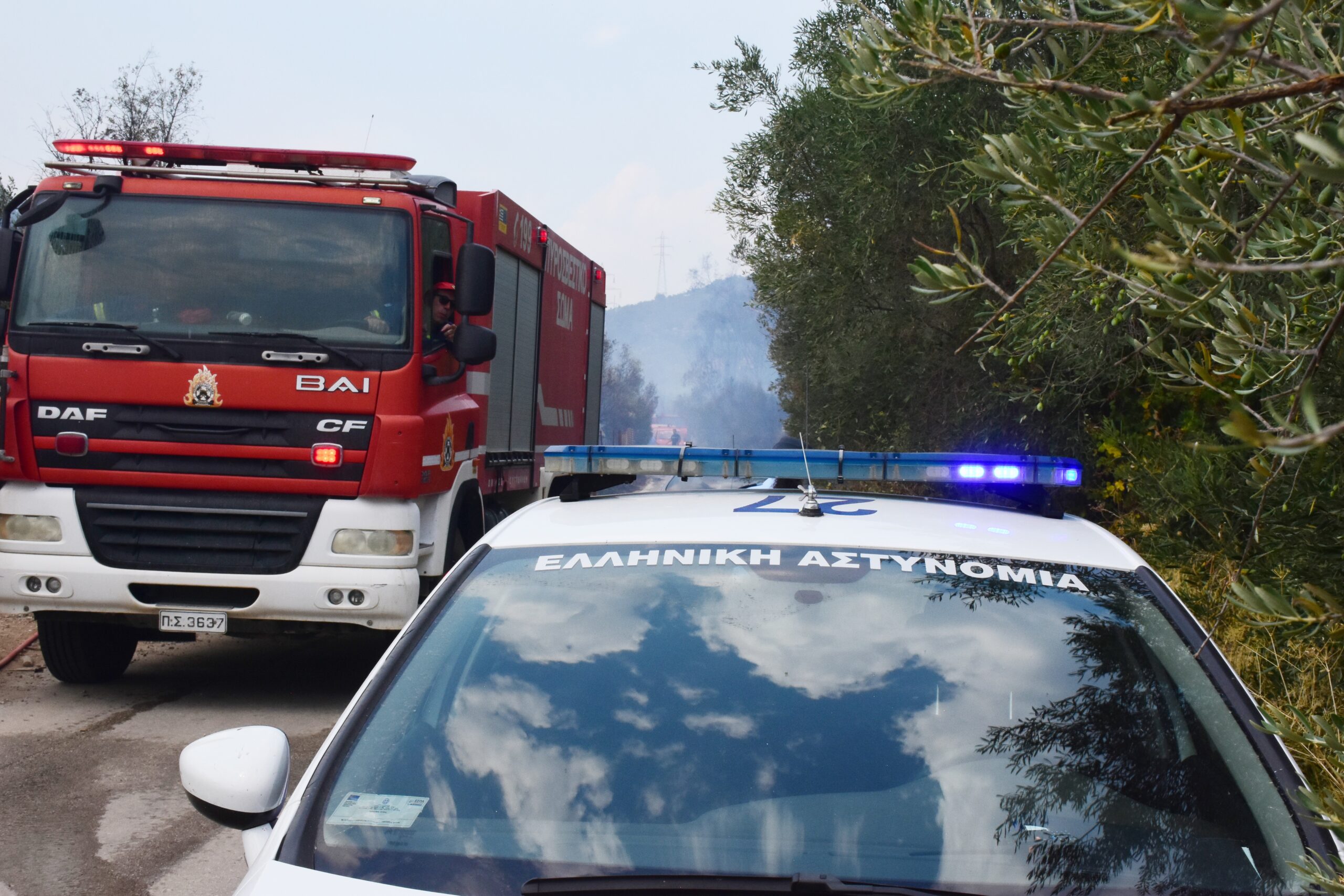 ΑΡΓΟΛΙΔΑ- Πυρκαγιά στην περιοχή της Άκοβας Άργους. (Βασίλης Παπαδόπουλος/Eurokinissi )