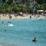 6563501 e1753632542918