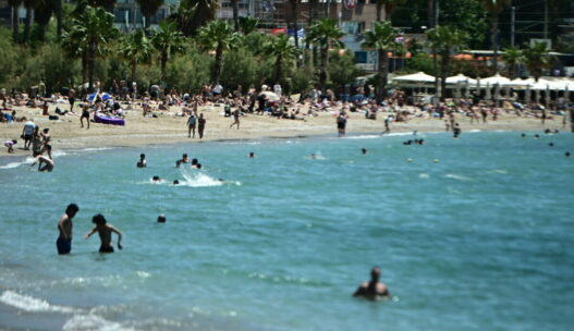 6563501 e1753632542918