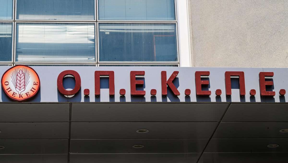 6594735 1 scaled e1751902238781