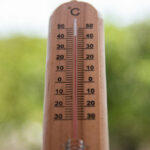 6617185 scaled e1753638930423