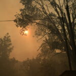 6617273 scaled e1753543522321