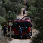 6620425 scaled e1753761756969