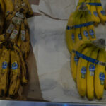 ap22075349161888 scaled e1753330019590