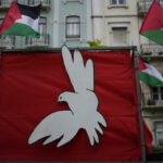 ap24098786167238 scaled 1