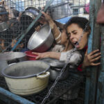 ap24127580273021 768x512 1