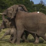 ap24352371476052 scaled e1753793971879