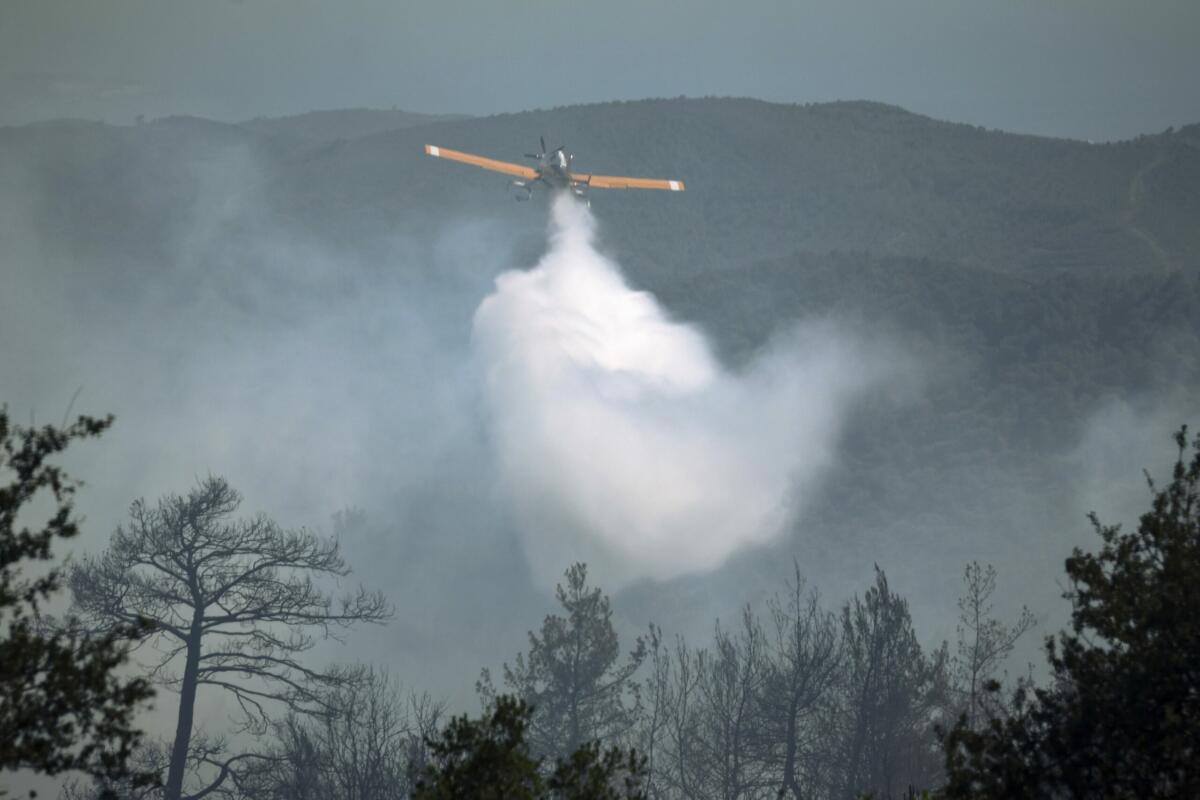 Syria Wildfires
