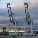 ap25205174719507 scaled 1