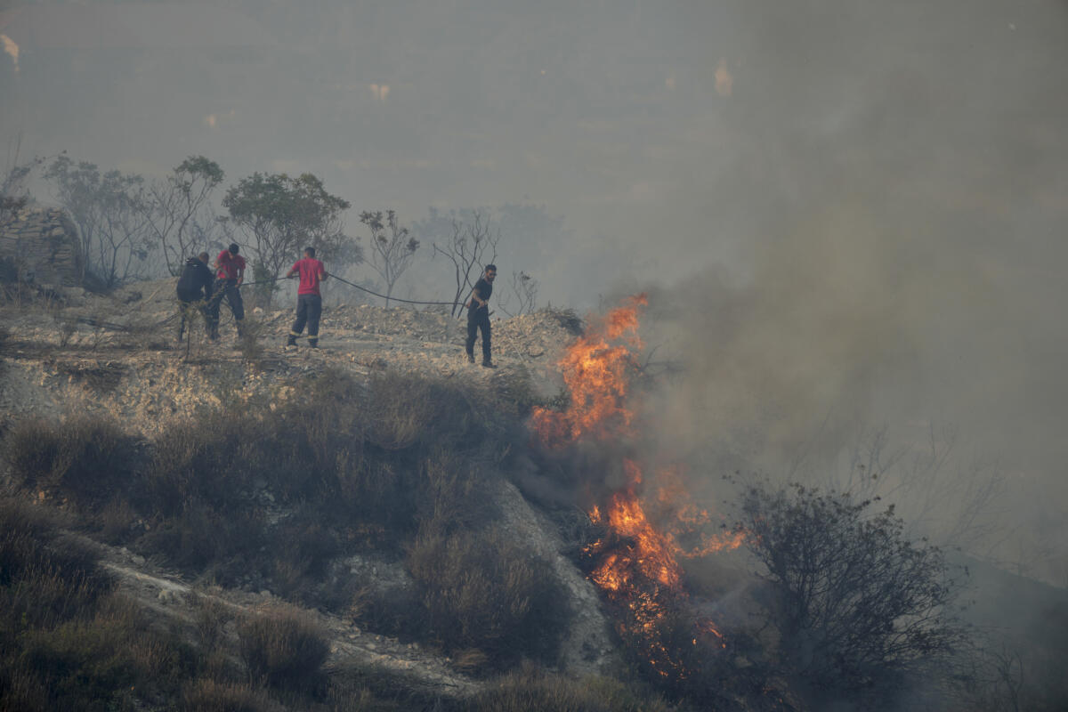 Cyprus Wildfire