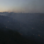 ap25207648370285 1 scaled 1