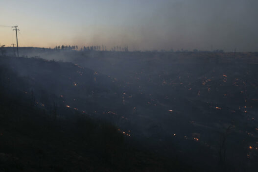 ap25207648370285 1 scaled 1