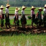 ap97060501235 e1753771982690