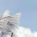 cheng chieh hsu 5fdd5 qika4 unsplash scaled