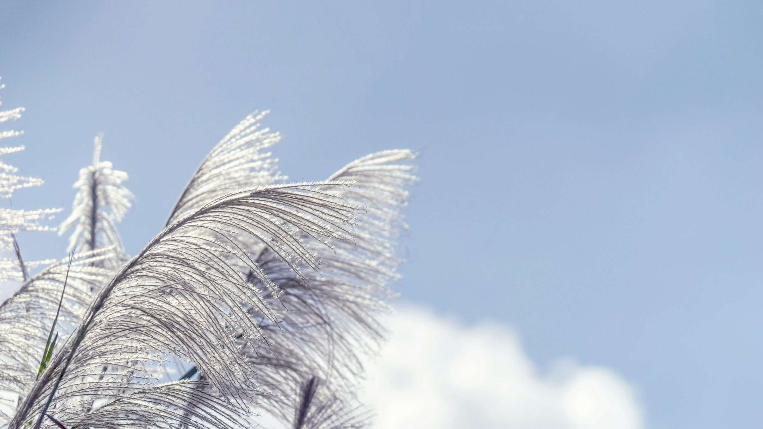 cheng chieh hsu 5fdd5 qika4 unsplash scaled