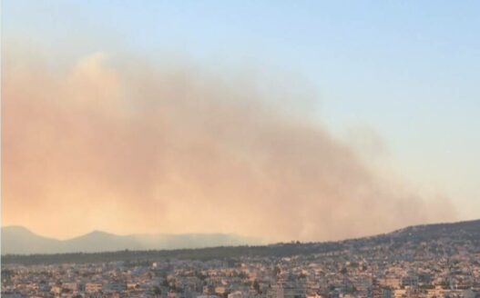 deltio 18 2025 07 26 17 57 45 frame 173485