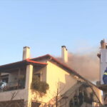 deltio 18 2025 07 26 17 57 45 frame 77142