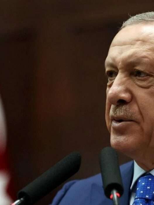 erdogan 1