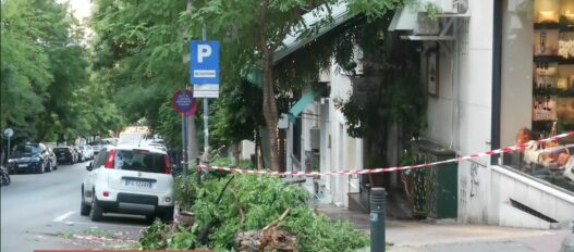 exo kolonaki 1