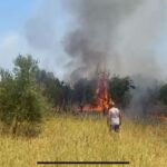 foti a neromylos messinia e1753443285935