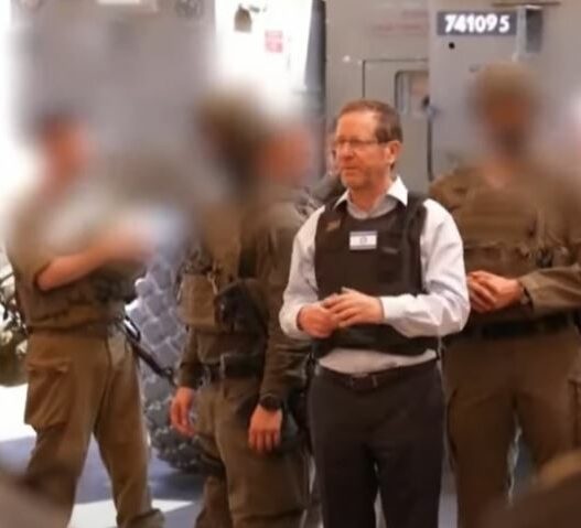 herzog