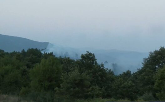 kastoria2