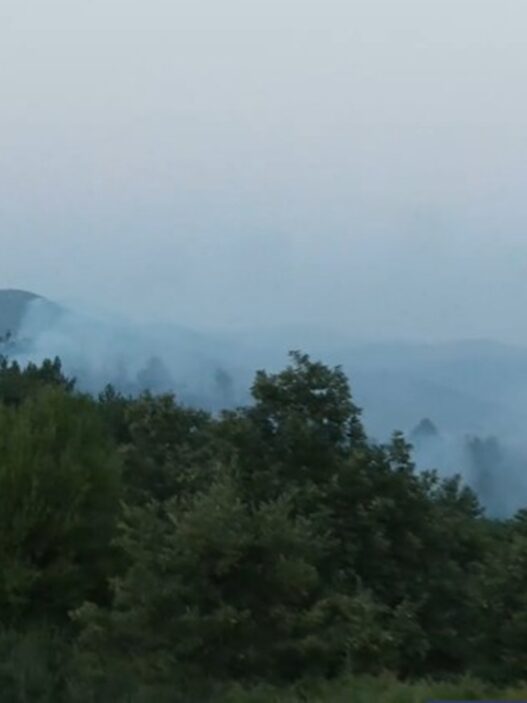 kastoria2