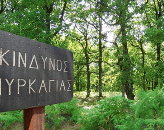 kindynos pyrkagias 5 1 1