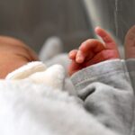 maxstockworld479410 6881457c7c9c3314847011 1