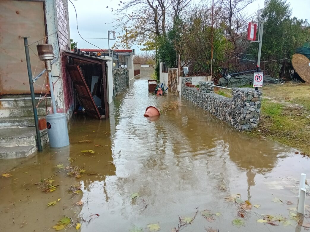 mesagala plimir2