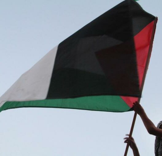 palestini flag 1