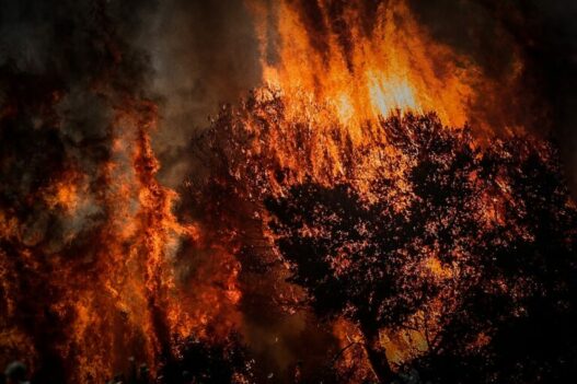 pyrkagia 1 768x512 1