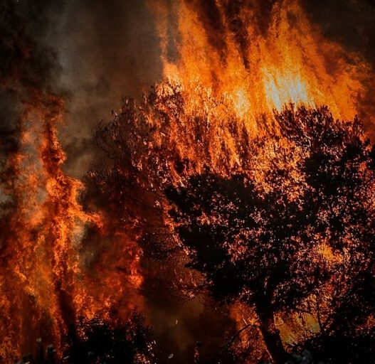 pyrkagia 1 768x512 1