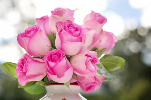 roses 2191636 1280 768x512 1