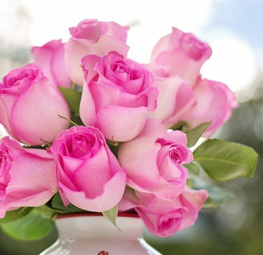 roses 2191636 1280 768x512 1