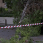 screenshot 2025 07 28 063332