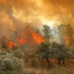 turkey forest fires