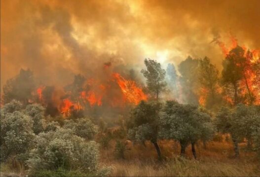 turkey forest fires
