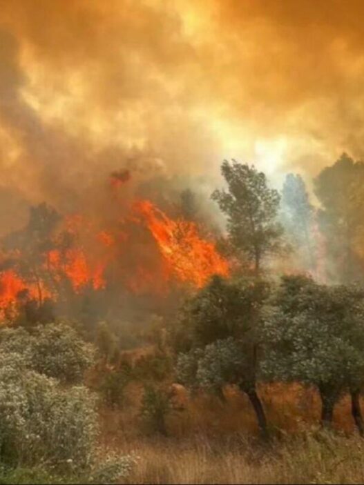 turkey forest fires